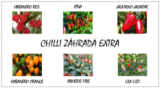 Chilli záhrada EXTRA (semená - darčekový set)