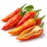 Sugar Rush stripey (semená) chilli