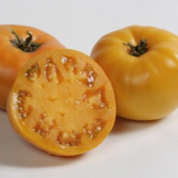 Brandywine yellow (semená) paradajka