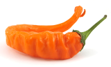 Cayenne orange (semená) chilli