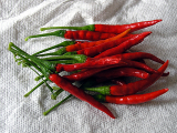 De arbol  (semená) chilli