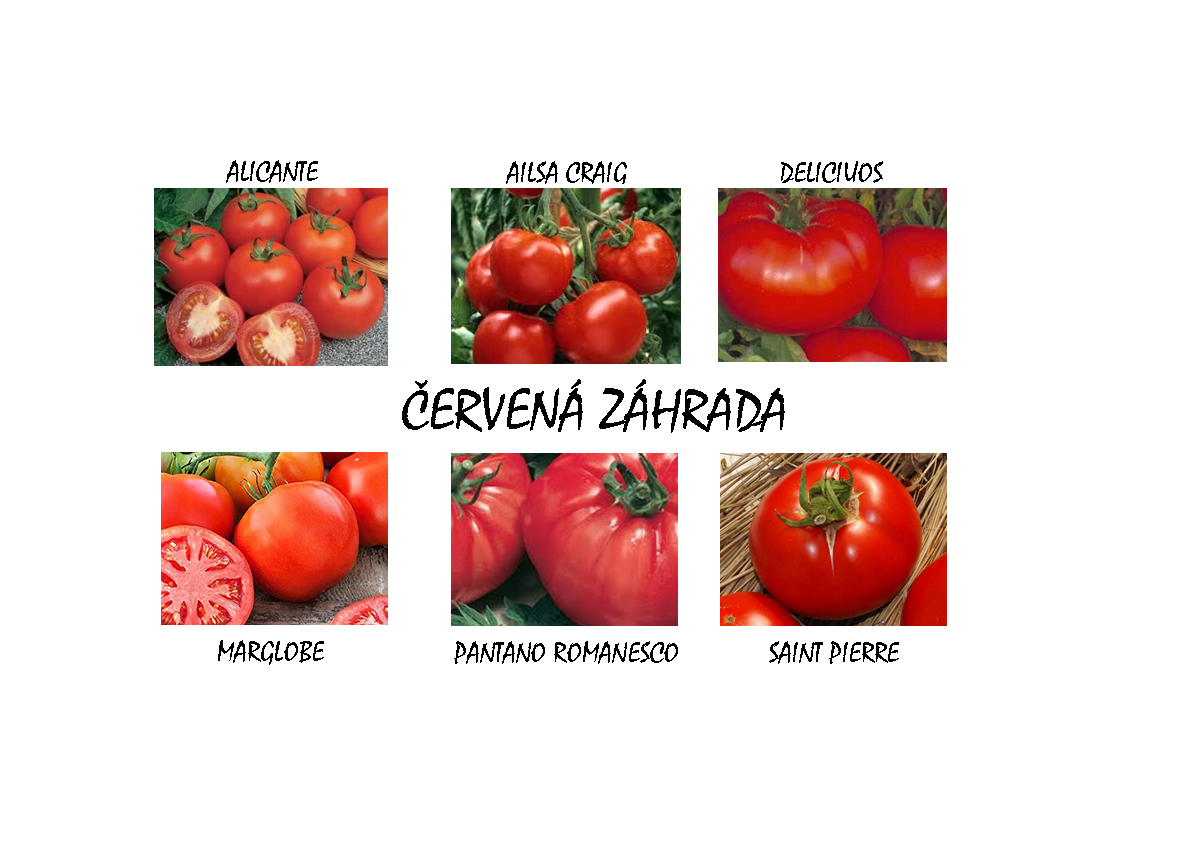 Paradajková záhrada červená EXTRA (semená-darčekový set)