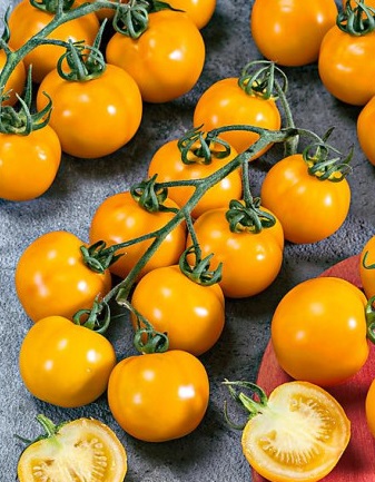 Romus - paradajka (semená)