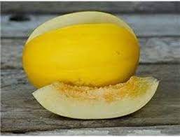Melón - Amarillo oro  (semená)