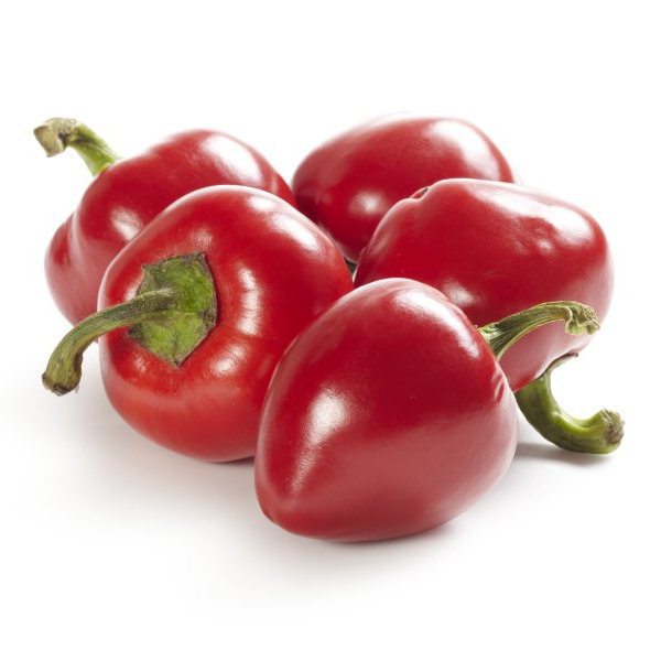 Large red cherry (semená)