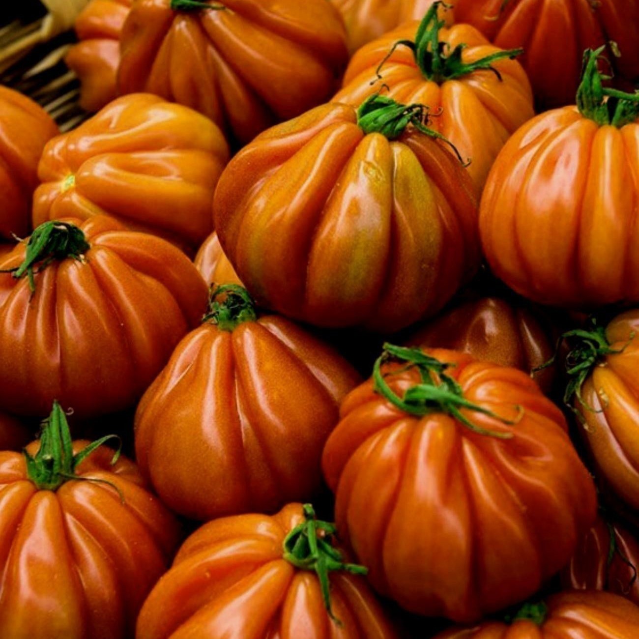 Charlie chaplin  (semená) paradajka