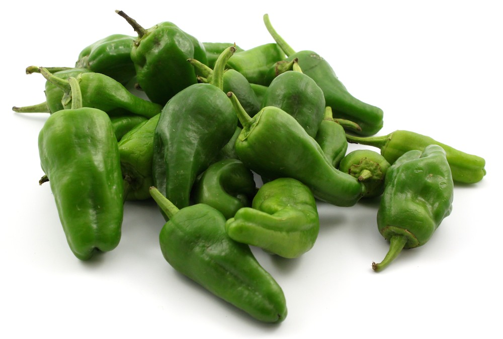 Padron (semená)