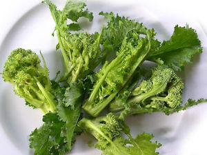 Brokolica - Quarantino riccio (semená)
