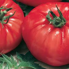 Pantano romanesco paradajka (semená)