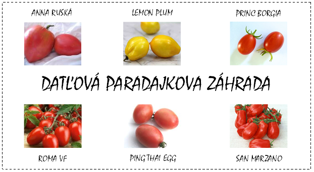 Datľová paradajková záhrada EXTRA ( semená - darčekový set)