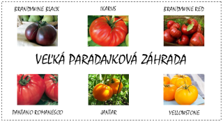 Veľká paradajková záhrada EXTRA II (semená-darčekový set)