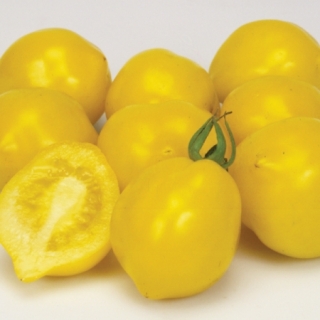 Paradajka "Lemon tree" (semená)