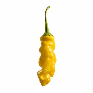 Chilli "Peter Pepper  Yellow" (semená)