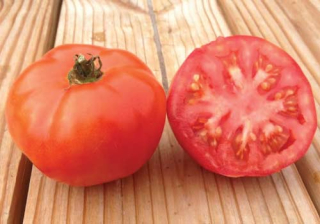 Marglobe  paradajka (semená)