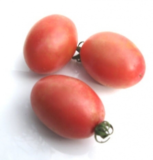 Pink thai egg (semená) paradajka