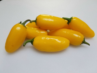 Numex lemon (semená)