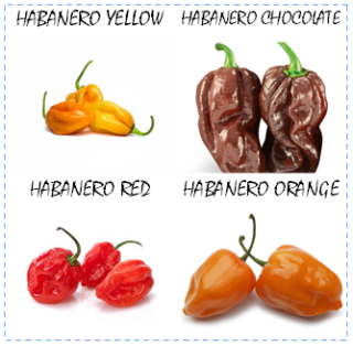 Habanero set (semená - darčekový set)