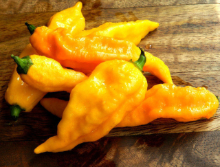 Bhut jolokia yellow  (semená)