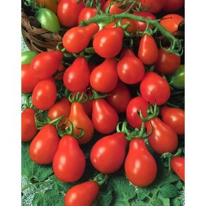 Červená hrušková cherry paradajka (semená)