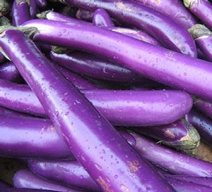 Baklažán - Long purple (semená)