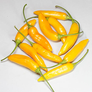 Aji cito  (semená)