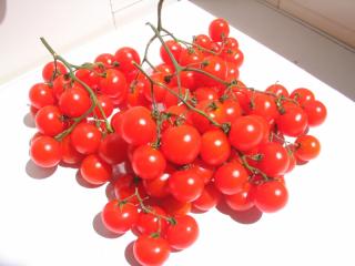 Hroznová cherry paradajka (semená)
