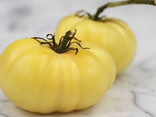 White beauty - Paradajka - (semená)