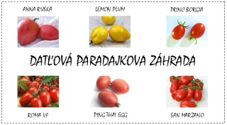 Datľová paradajková záhrada EXTRA ( semená - darčekový set)
