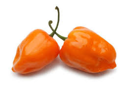 Habanero orange  (semená)