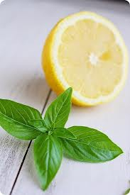 Bazalka citrónová (semená)